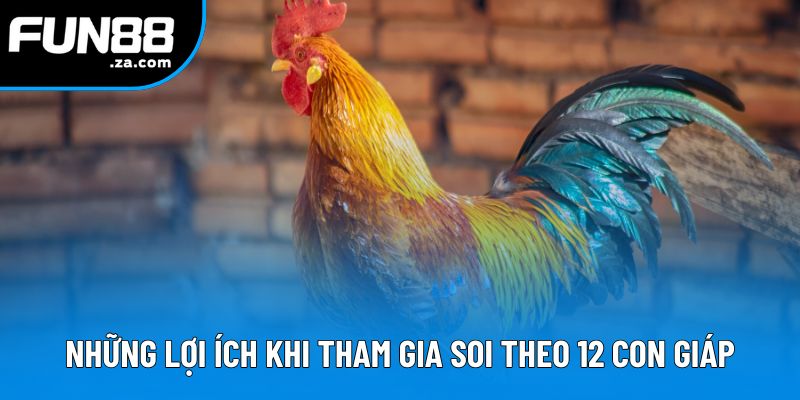 Những lợi ích khi tham gia soi đá gà theo 12 con giáp