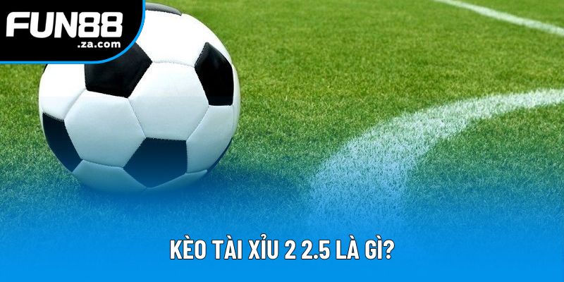 Kèo Tài Xỉu 2 2.5 Là Gì - Cách Ăn Trọn Tiền Thưởng Nhà Cái
